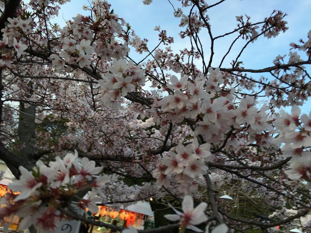 Ryokan Uemura Kyoto Bagian luar foto