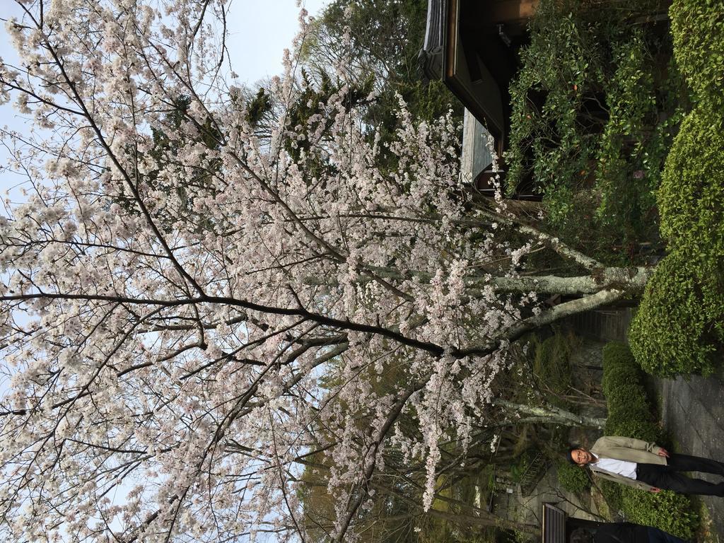 Ryokan Uemura Kyoto Bagian luar foto