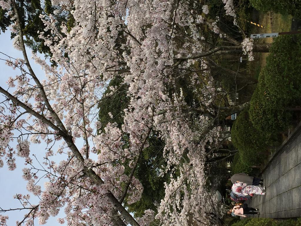 Ryokan Uemura Kyoto Bagian luar foto