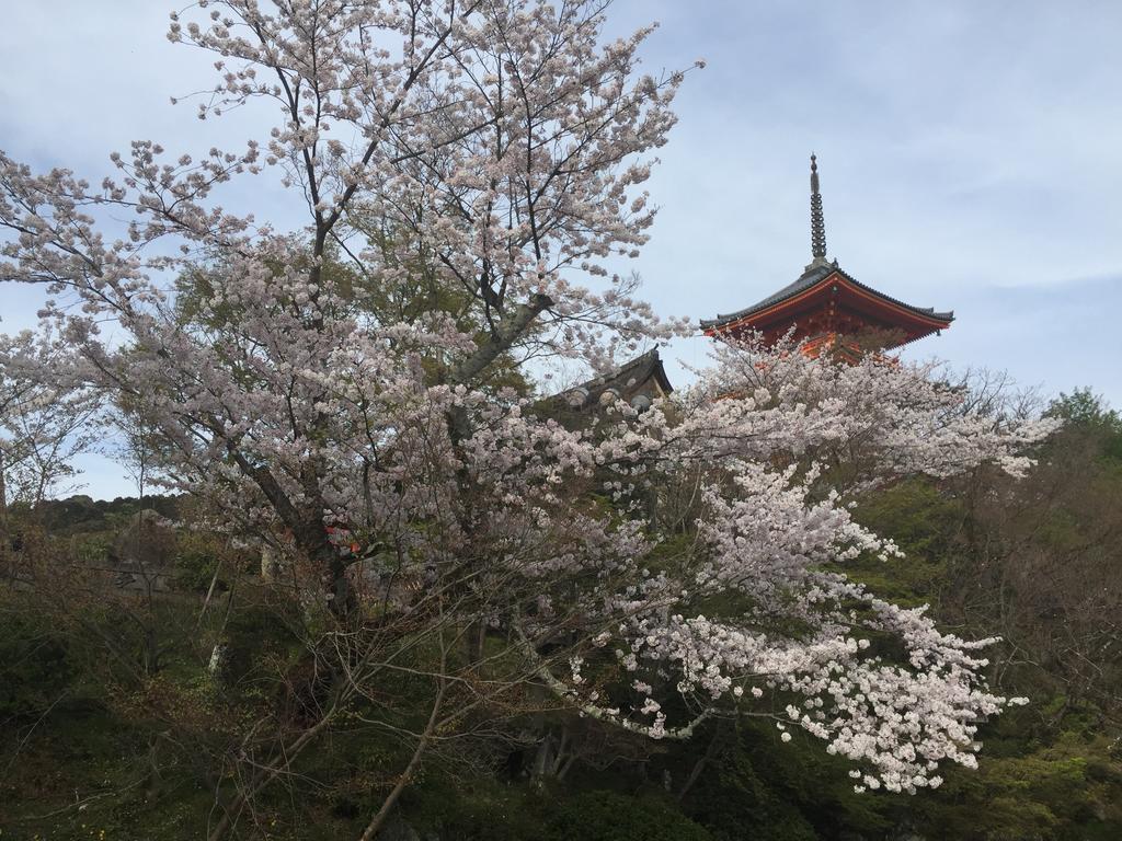 Ryokan Uemura Kyoto Bagian luar foto